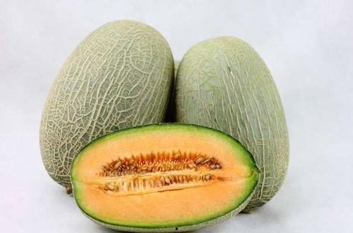 小狮子吃哈密瓜视频,萌态十足引网友热议