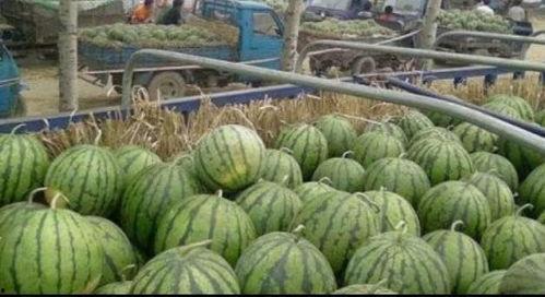 卖一元吃瓜视频违法吗,合法边界与违法风险探讨