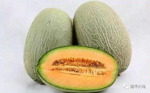 美食主播吃哈密瓜视频,美食主播带你领略瓜果飘香
