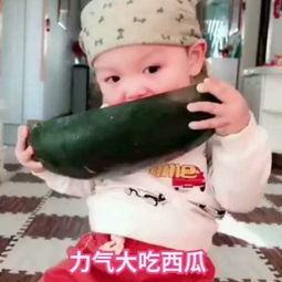 小孩在吃瓜的视频,小宝贝欢乐吃瓜瞬间